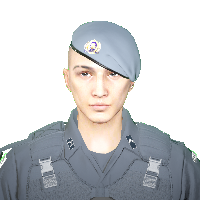 d33795ebc910.png