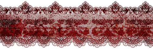 IMG 1494.png