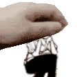 0fcde77bf8ea.gif
