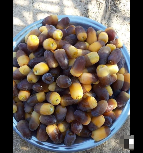 Screenshot ٢٠٢٦٠٤٢٤ ٠٢٥٧٢٨.png