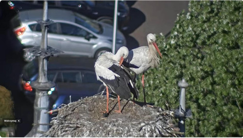 MWSnap640.jpg