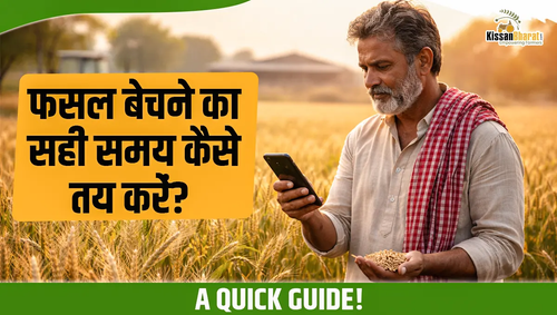 1773047552 फसल बेचने का सही समय कैसे तय करें A Quick Guide!.png