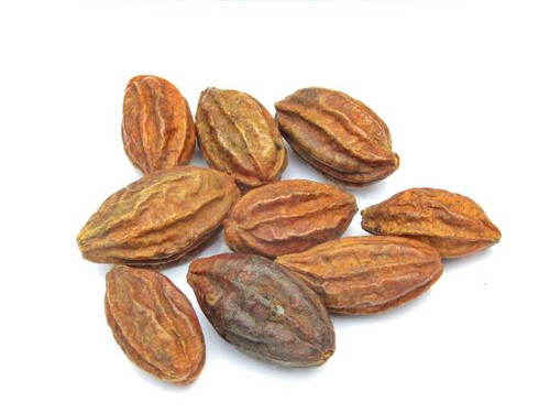 Myrobalan haritaki stock photos.jpg