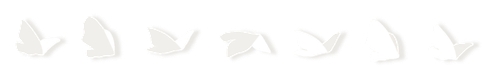 IMG 5824.png