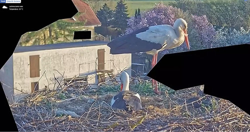 MWSnap449.jpg