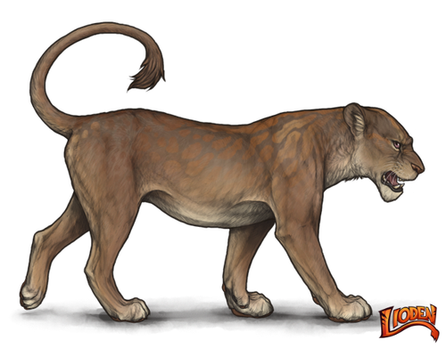 lioden wardrobe (4).png