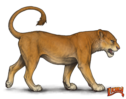 lioden wardrobe (3).png