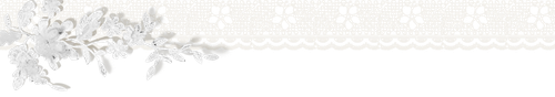 IMG 5830.png