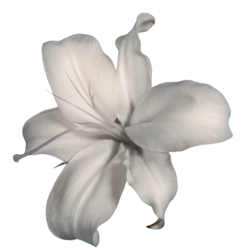 Camera XHS 17767041350821040g2sg31gsnkmjfjq405p7toq118208r2hvshg.png
