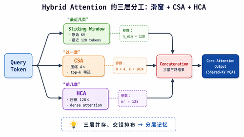 fig hybrid attention branches.png