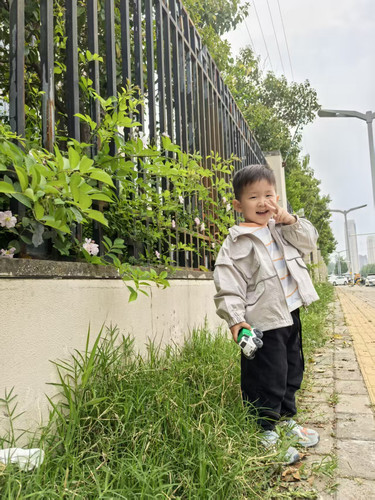 img 339a86b1dc16.jpg
