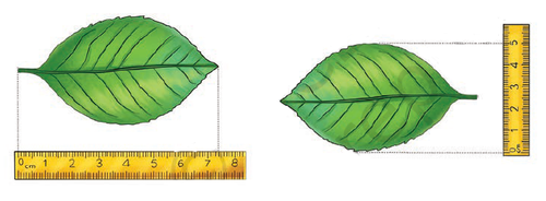 Screenshot 2026 04 24 125525.png