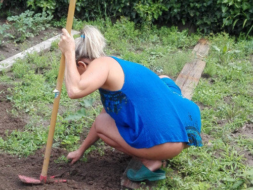 Lisa jardine le cul à l'air 02.jpg