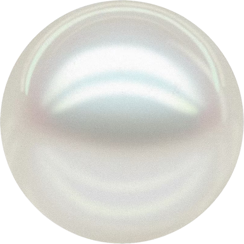 1000003521.png