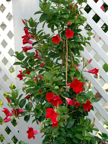 71Q0oWGnhhL. SL1200 .jpg