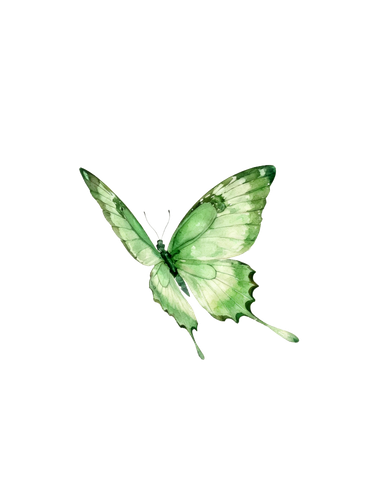 5edzbd4x4hrg80cxpqfa38e0k0 removed bg.png