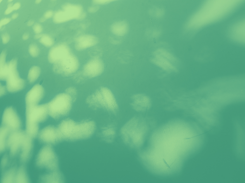 temp.png