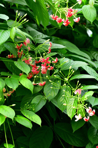 rkKeX8EMC28BCP20y5tQAYj8PgXpD6lc2IP eFJUbSZ3 jiugkV9Sho Z99WeW6NGwWjMIIeCu hd5DLCf9ksf 56Ni815ibtPxT.jpg