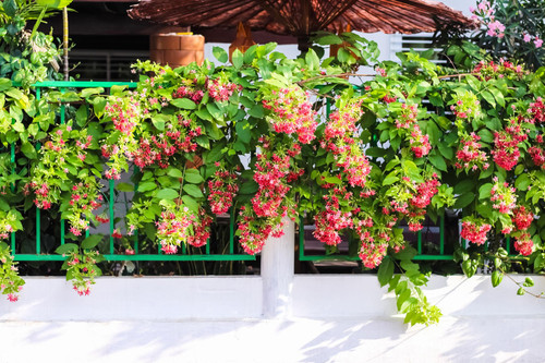 Uh4 l14QybDG9t9uxxWDCA3o3UGrgHWe17yGdbQQSoS9L GKFXYiORSfV7JAZ3vdq2fbpCOdIEbpZ1w3lLYr SnKGBDHj XHxy L.jpg