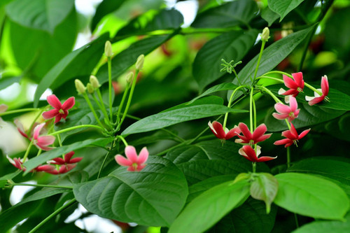 SdLPwTdr8e0Obp S24yKafA91gJC8OMKcmEYk Wb6H FYGPB9nM95BRDrzK rlU95ed XjRRJJTo9a6MGbMOVkayd YiWAXItgBH.jpg