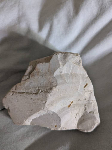 175c71b79bd0.jpg