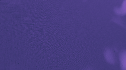 temp.png