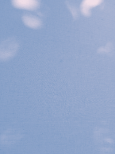 temp.png