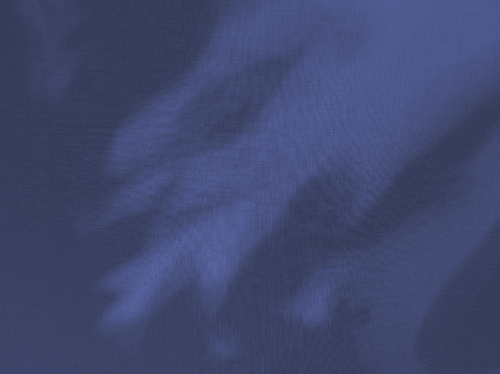 temp.png