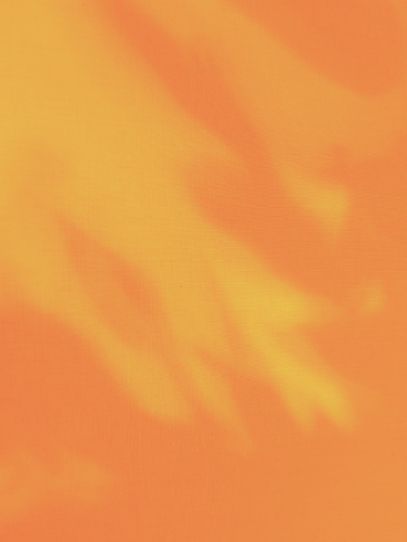 temp.png