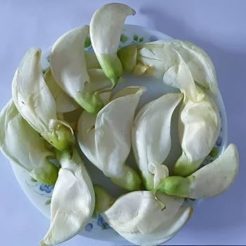 512Hp24zqKL. AC UF350,350 QL80 .jpg