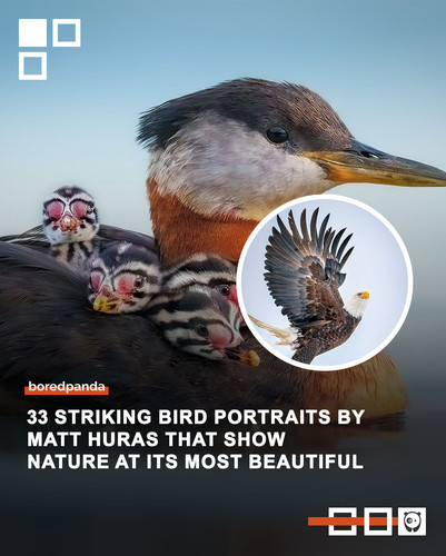 Community Share 8 April.jpg