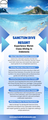 Sanctum Dive Resort – Experience World-Class Diving in Indonesia.png