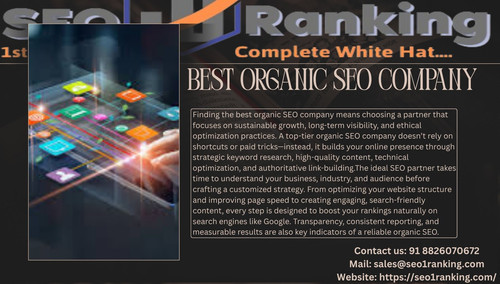 best organic seo company.jpg