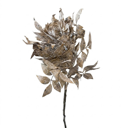 83bc2e12 484d 4056 b1bd b668b4e921e2.jpg