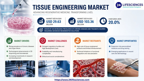 httpswww.24lifesciences.com (4).jpg