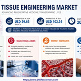 httpswww.24lifesciences.com (4)