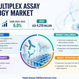 httpswww.24lifesciences.com (10)