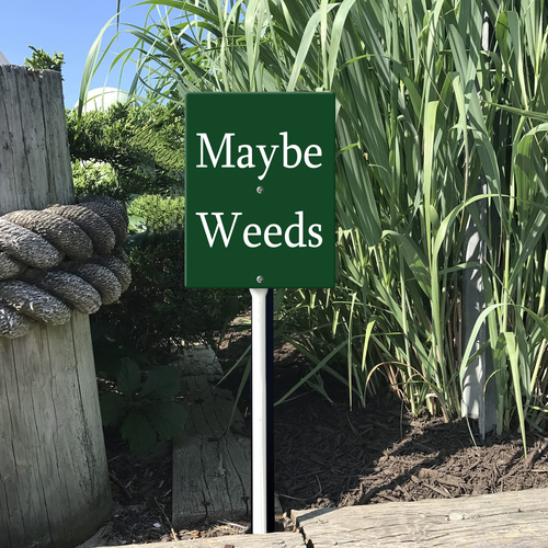 55 0424DC25N 09.png