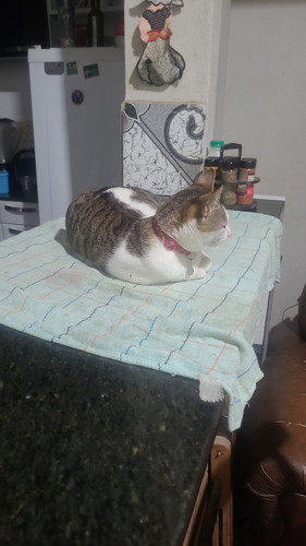 IMG 20260423 WA0790.jpg