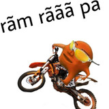 1000671244