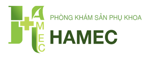 logo hamec.png