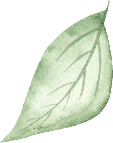 1000049195.png