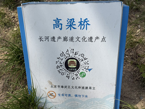 IMG 8705.jpg