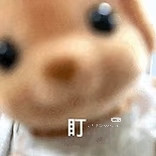Camera XHS 17770082360741040g2sg3148n6i3l6ed04ak55pflslfdlauo12o.jpg