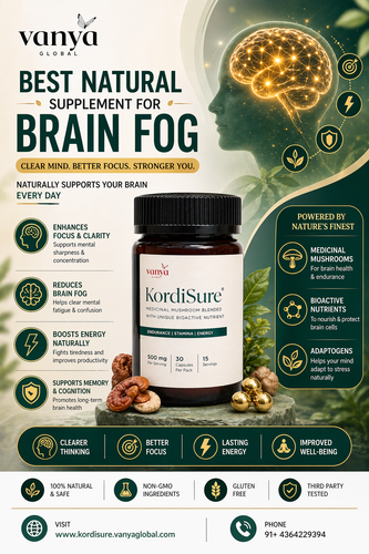 Best Natural Supplement For Brain Fog.png
