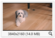 thumb 5666daa66a058a4fce551f58b501e8f1.png