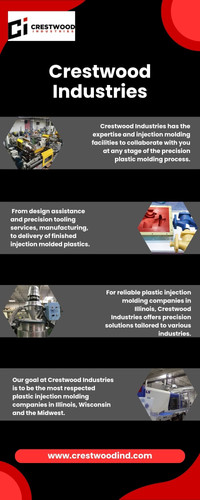 Plastic Injection Molding Services Illinois.jpg