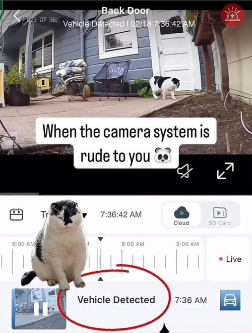 581447815 888658226852202 8570038647660178972 n.jpg