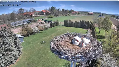 MWSnap508.jpg