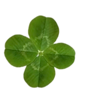 IMG 20260424 012452.png